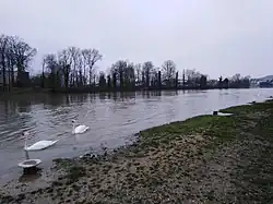 La Marne en crue à Château-Thierry, février 2021.