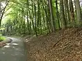 Bois de Raumont au sud de Laneuveville-derrière-Foug.