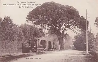 Image illustrative de l’article Ligne de tramway de Cogolin à Saint-Tropez