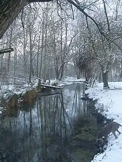 La Retourne à Ville-sur-Retourne l'hiver.