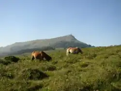 La Rhune dans les Pyrénées atlantiques.