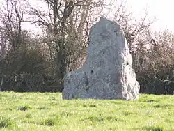 Image illustrative de l’article Menhir de la Riveraie