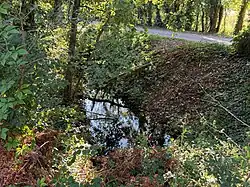 La Rize au niveau de la rue Auguste-Rodin.