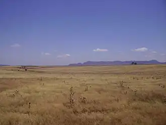 Comarque de La Serena