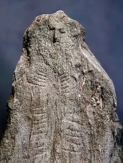 Statue-menhir de Treytel-A Sugiez (Suisse).