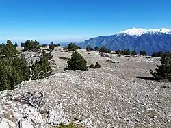 Sur le sommet karstique de la Tartera.