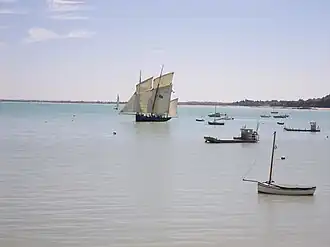 Image illustrative de l’article Ostréiculture