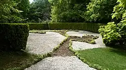 un jardin de gravier blanc et arbustes dans les tons jaunes