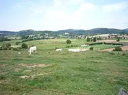 Vue de la plaine des Bataillouses