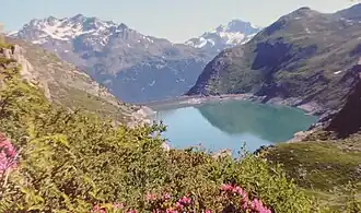 Photographie en couleurs d'un lac bleu, entouré de végétation des prairies et aussi des montagnes enneigées ; il y a des fleurs roses au premier plan et des sommets enneigés à l'arrière-plan.