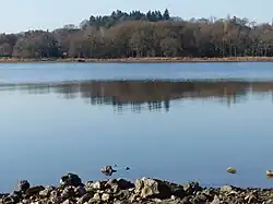 Photographie du l'étang au Duc.