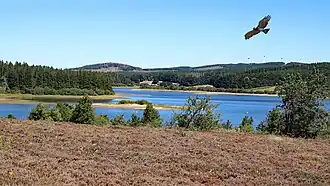Image illustrative de l’article Lac de Vézoles