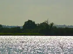 Vue du lac sous le soleil, au second plan la rive boisée.