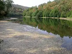 Lac de Méaux, bras Nord.