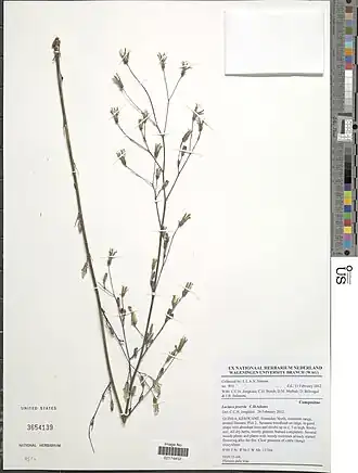 Description de cette image, également commentée ci-après