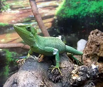 Description de cette image, également commentée ci-après