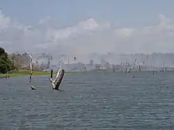 Image illustrative de l’article Lac Bayano