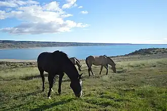 Image illustrative de l’article Lac Strobel