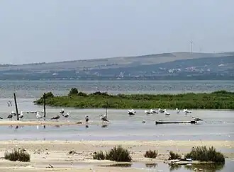 Image illustrative de l’article Lagune de Ghar El Melh