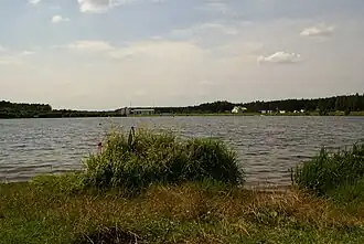 Jankowice (Radomsko)