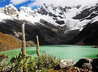 Image illustrative de l’article Laguna Allicocha