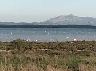 Étang de Fuente de Piedra en 2018