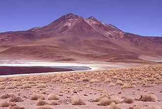 Vue de la Laguna Miscanti et du volcan Miñiques.