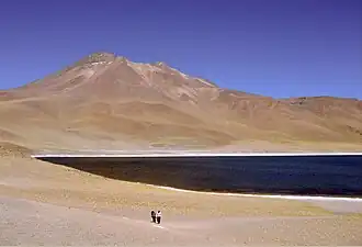 Vue de la Laguna Miñiques et du volcan Miñiques.