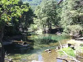 Image illustrative de l’article Laguna Verde (Neuquén)