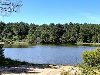 Lagune de Tirelagüe.
