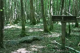 Polissoir avec plage.