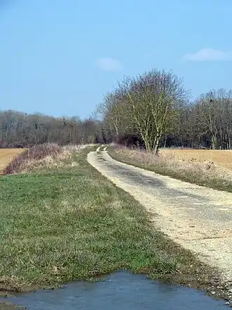 Voie romaine Reims-Toul à Laimont.