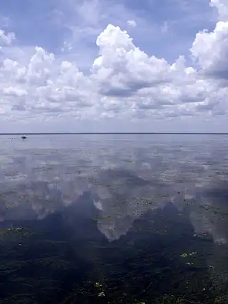 Image illustrative de l’article Lac George (Floride)