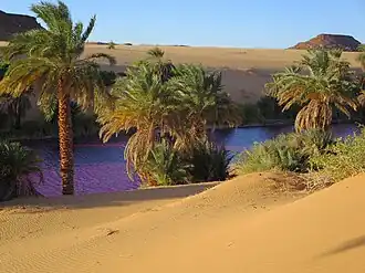 Image illustrative de l’article Lacs Motro