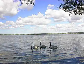 Image illustrative de l’article Lac Vištytis