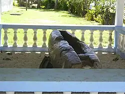 Lali situé dans le village de Vaitupu sur l'île Wallis.