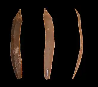 Lame à retouches continues sur deux bords.