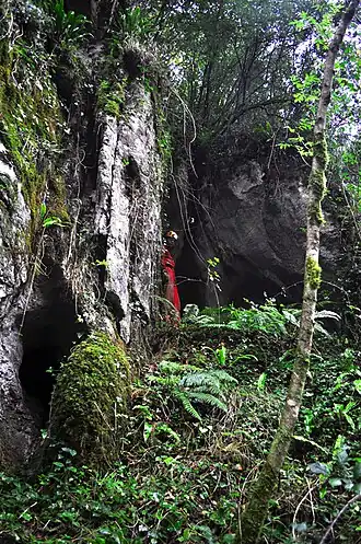 Image illustrative de l’article Lamiñak II