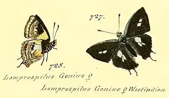 Description de cette image, également commentée ci-après