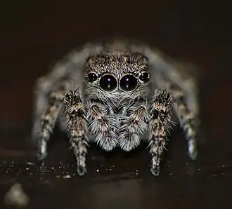 Description de cette image, également commentée ci-après