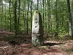 Image illustrative de l’article Langenstein (Stahlberg)