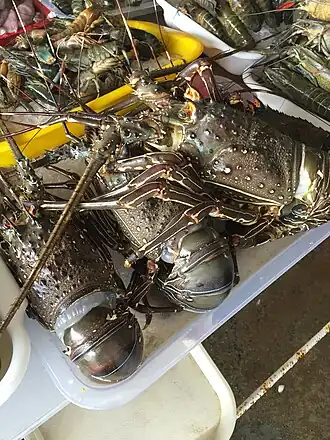 Description de cette image, également commentée ci-après