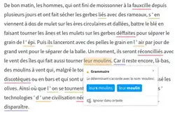 Description de l'image Languagetool.webp.