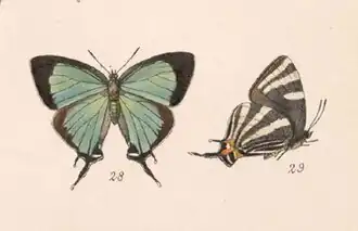 Description de cette image, également commentée ci-après