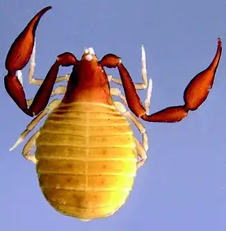 Description de cette image, également commentée ci-après