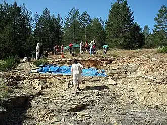 Image illustrative de l’article Las Hoyas