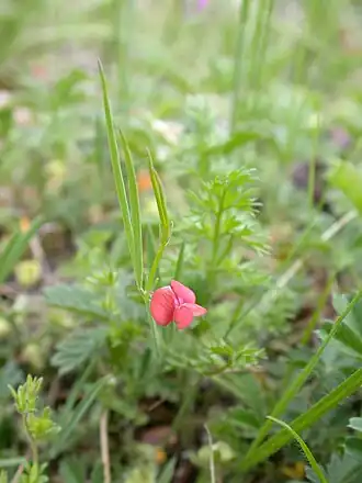 Description de cette image, également commentée ci-après
