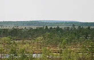 Vue du Lauhanvuori depuis Kauhaneva