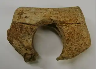 Fragment de baton percé. Aurignacien