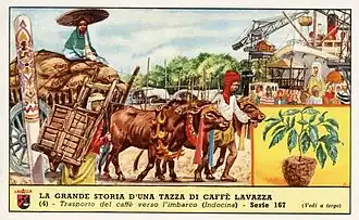 illustration de Lavazza